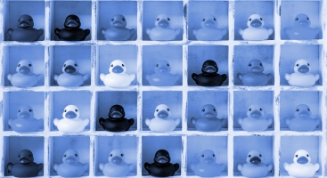 Setting and streaming