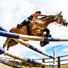 Why affluent neglect is a tough issue for international schools Tes Magazine image